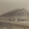 Thumbnail of post image 020